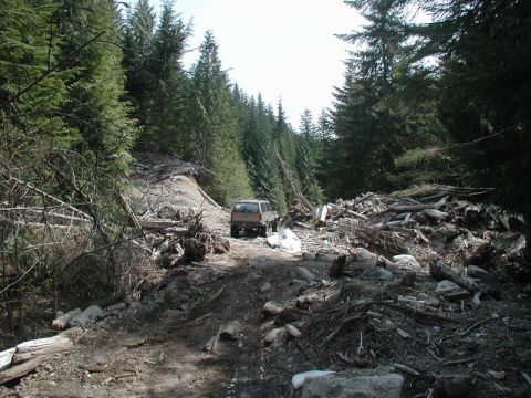 Tan 1985 Ford Bronco on a debris-filled forest road.
