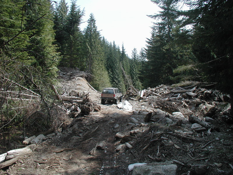 Tan 1985 Ford Bronco on a debris-filled forest road.