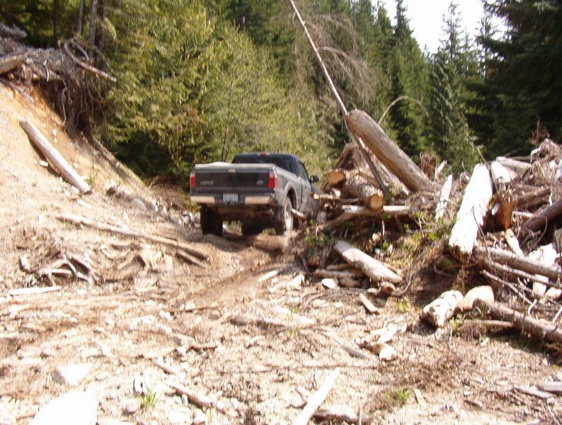 Dark pickup truck on a rough, debris-filled forest road.