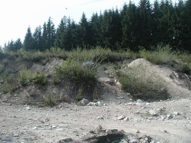 Dark vehicle partially hidden by bushes on a dirt embankment.