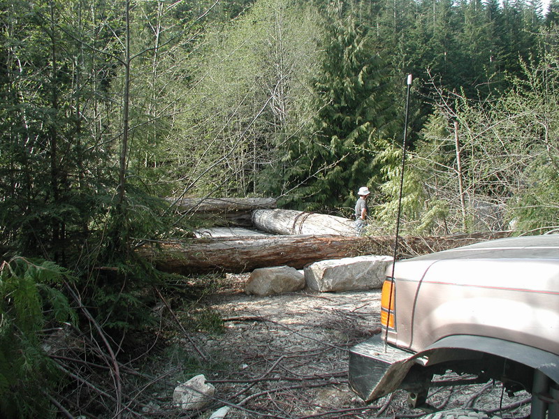 1985 Ford Bronco front corner with fallen logs and a person in the background.