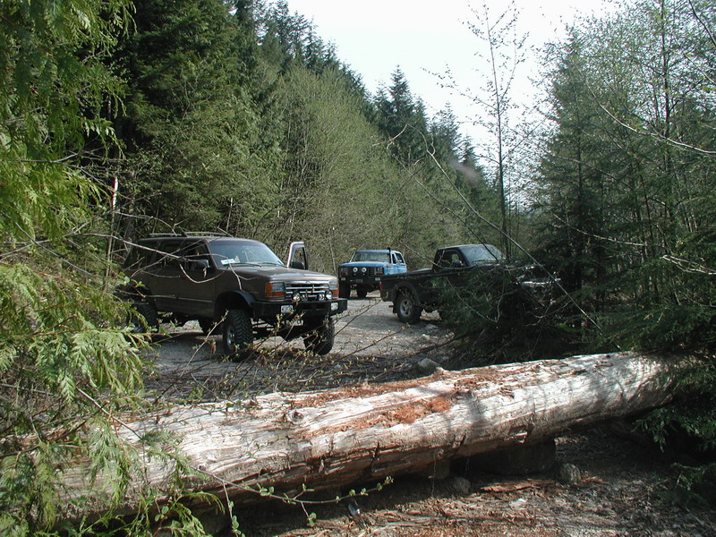 Brown lifted SUV parked on forest road with fallen tree in foreground