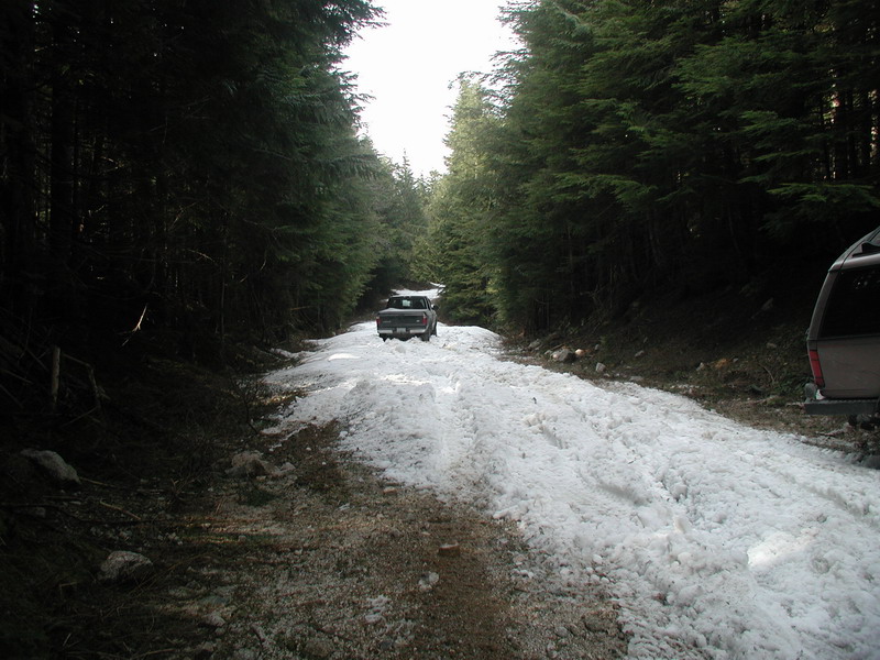 Pickup truck on a snowy forest road.