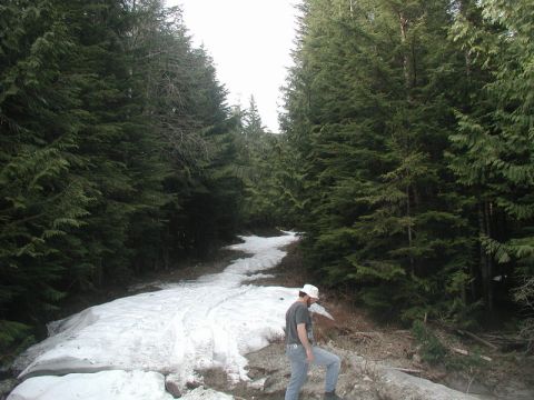 Person in a forest with snow on the ground.