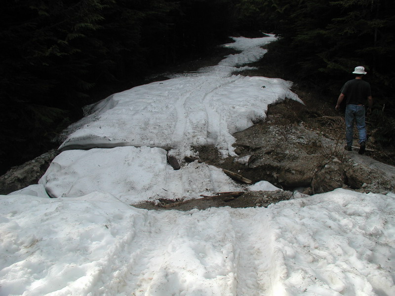 Person walking on a snow-covered path in a dense forest.