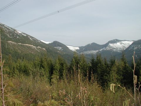 Mountainous landscape with evergreen trees and snow-capped peaks.