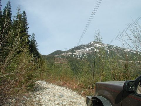 1985 Ford Bronco photo