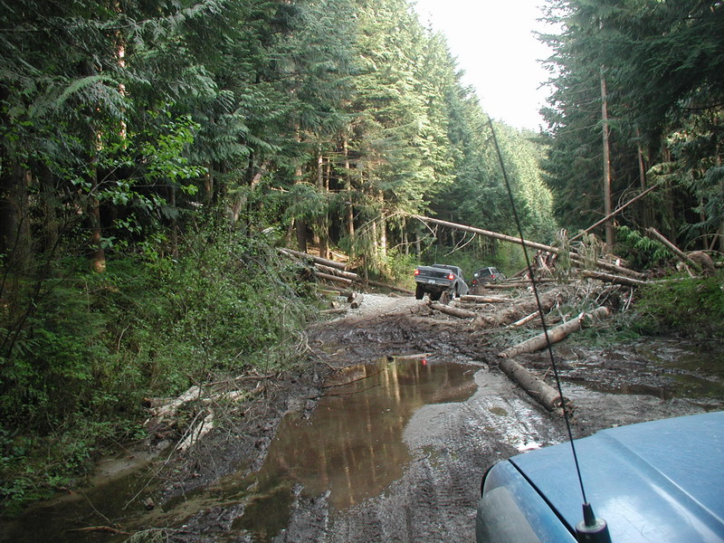 Blue vehicle hood and antenna on muddy forest road with fallen trees and another SUV.