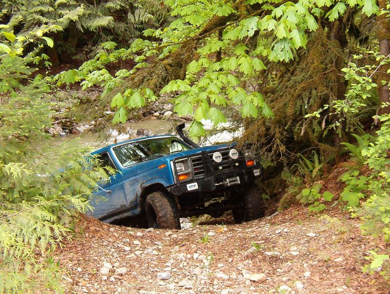 Blue Ford Bronco off-roading on a wooded trail next to a stream.