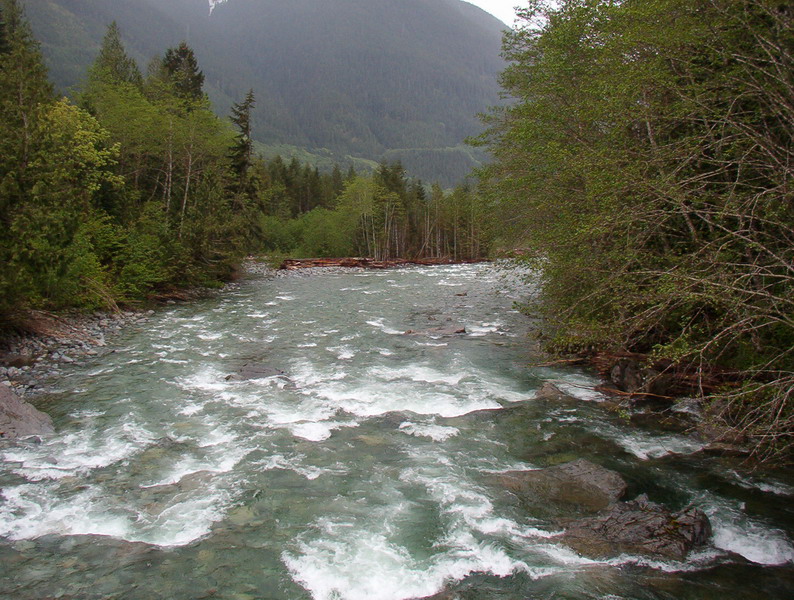 Chehalis River.