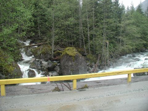 A river flowing through a forest with a yellow guardrail.