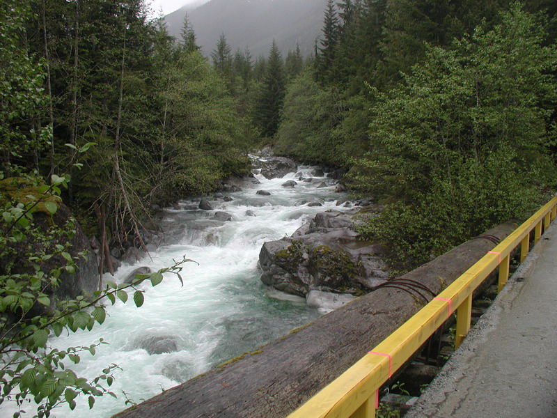 River flowing through a forest with a bridge in the foreground.