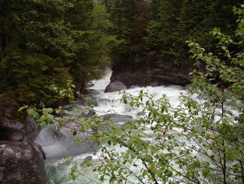 River flowing through a rocky gorge with trees and foreground foliage.