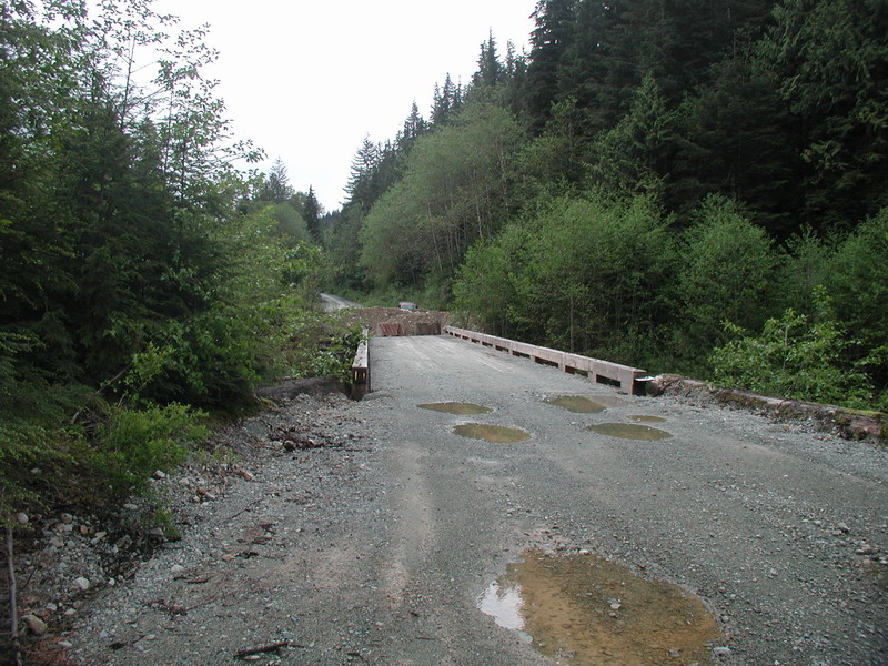 Gravel road and wooden bridge in a forest with debris.