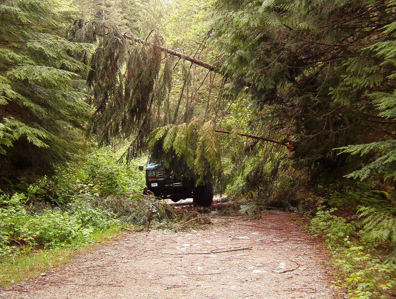Heading up Margret Creek Pass.