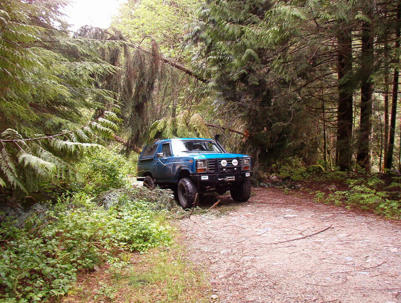 Blue Ford Bronco on a forest road with off-road tires and winch.