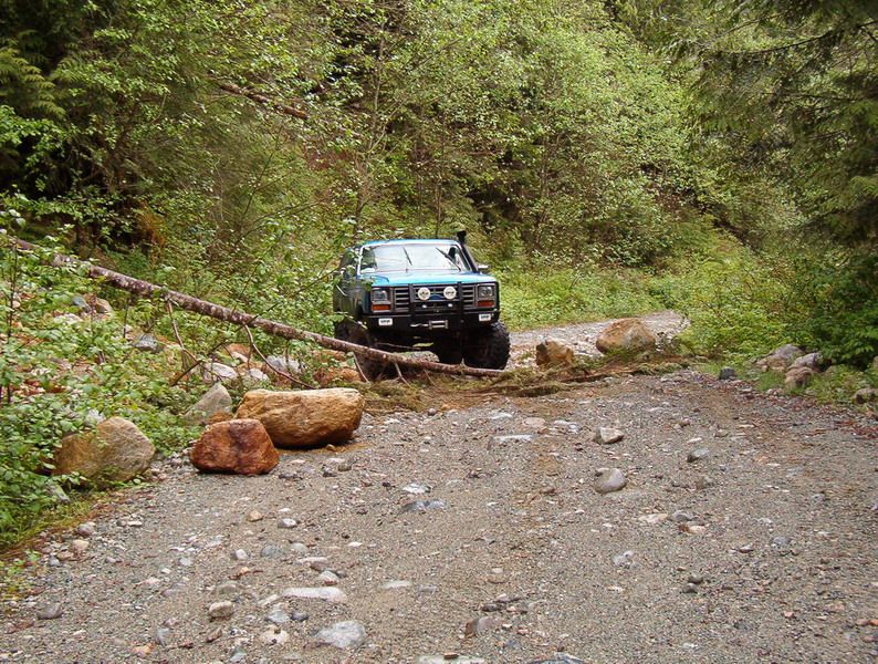 Blue 1980s Ford Bronco with large tires and snorkel on a wooded gravel road, blocked by a fallen tree.