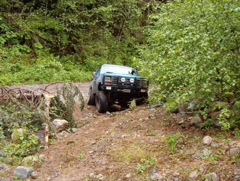 Teal Ford Bronco off-roading on a rocky trail with fallen trees and dense foliage.