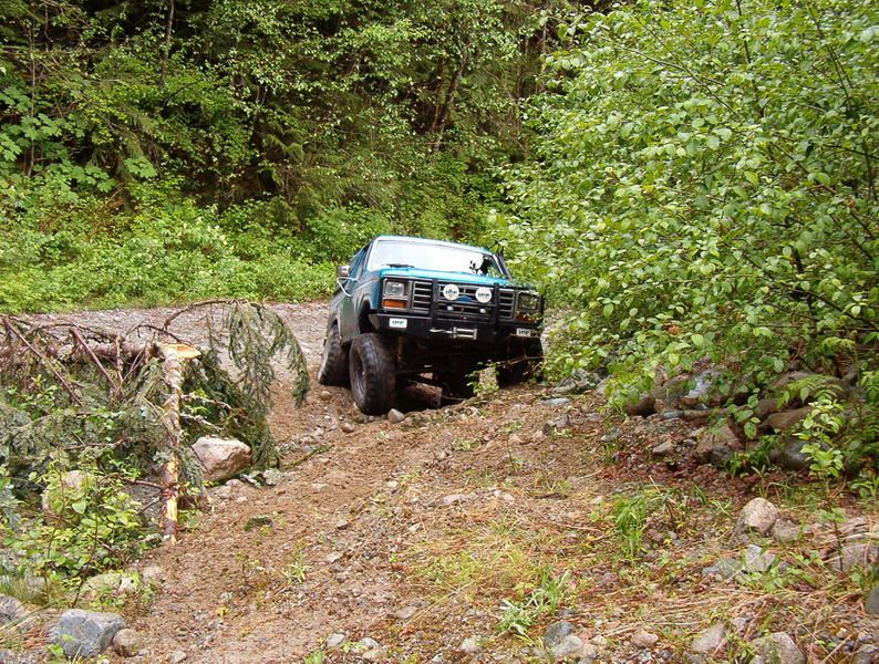 Teal Ford Bronco off-roading on a rocky trail with fallen trees and dense foliage.