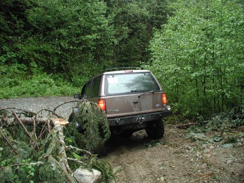 Brown Ford Explorer on a muddy trail with a fallen tree.