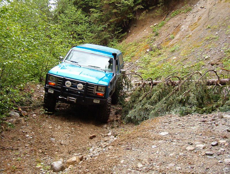 Blue 1980s Ford Bronco off-roading on a muddy trail with a fallen tree.