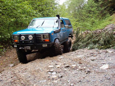 1985 Ford Bronco photo