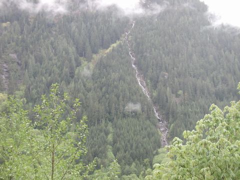 Forested mountain slope with a waterfall and foreground foliage