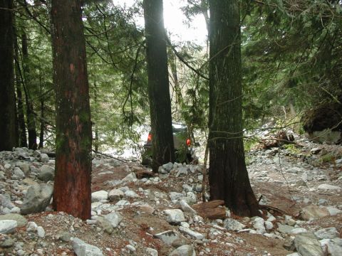 Dark SUV with brake lights on, seen between trees on a rocky trail.