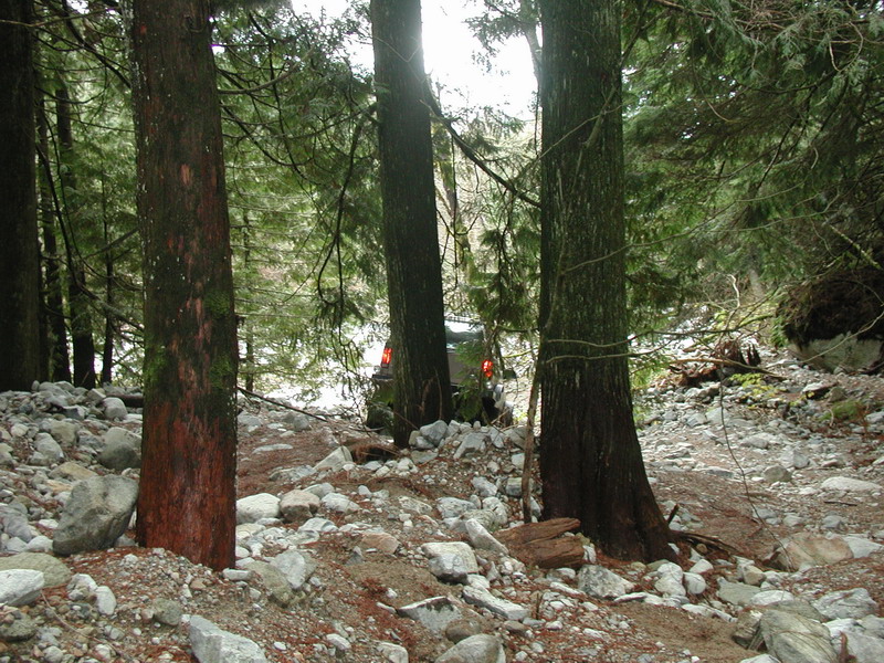 Dark SUV with brake lights on, seen between trees on a rocky trail.