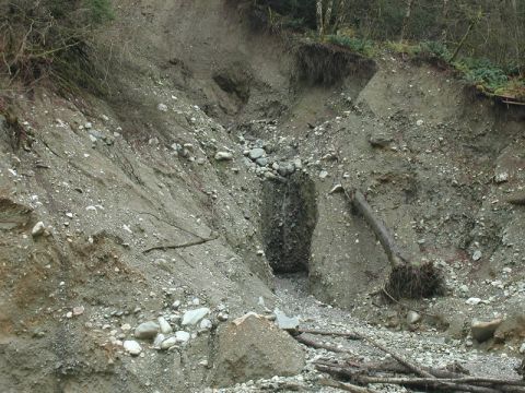Landslide with exposed soil and rocks, fallen trees, and a small stream.