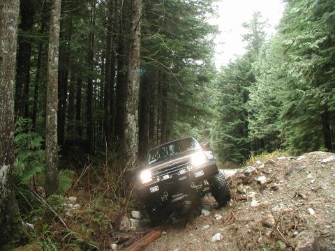 1985 Ford Bronco photo