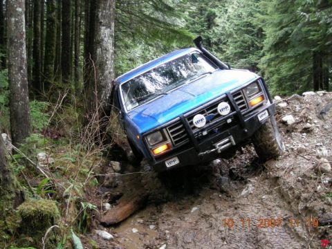 1985 Ford Bronco photo