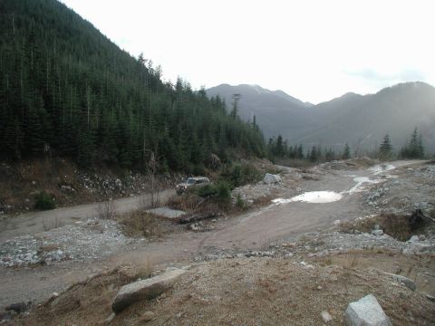 Tan SUV on a dirt road in a forest with mountains in the background.