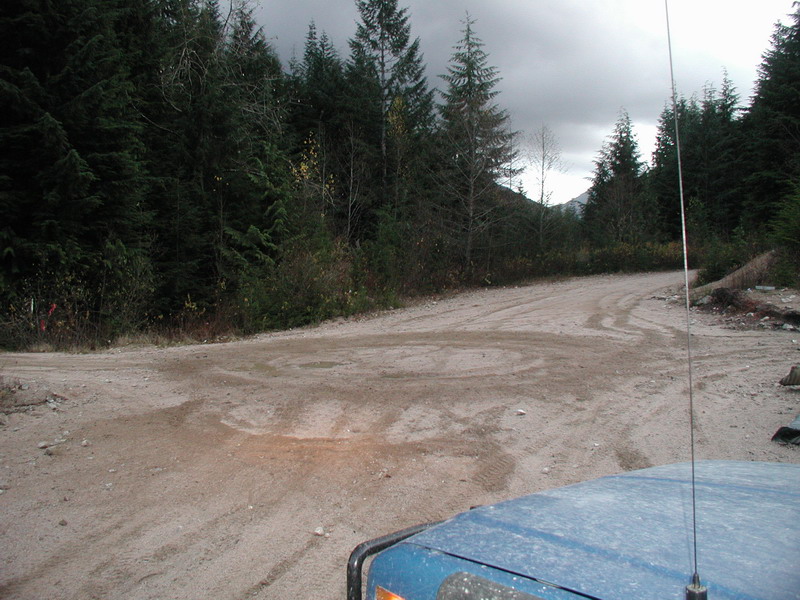 Blue has always been jealous of burnouts I do in the T-Bird, so I locked the rear and let her do a few dounts.