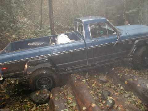 1985 Ford Bronco photo