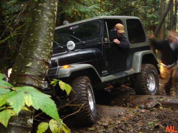 Black Jeep Wrangler off-roading on a muddy trail next to a tree.