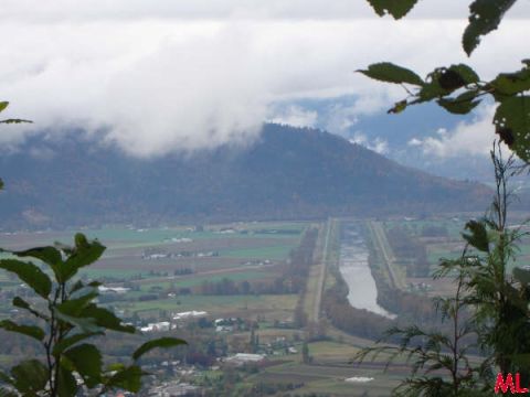 Valley with river, farmland, and mountain under cloudy sky, framed by foliage.