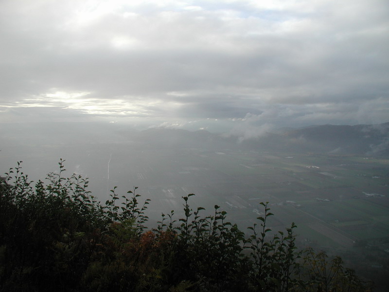 Overcast valley view with sun breaking through clouds and silhouetted foliage in foreground.