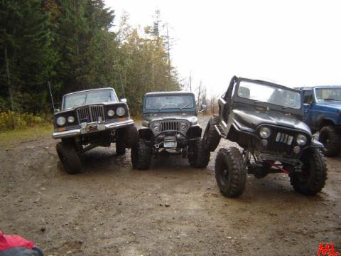 Three modified Jeeps parked on a dirt path in a wooded area.