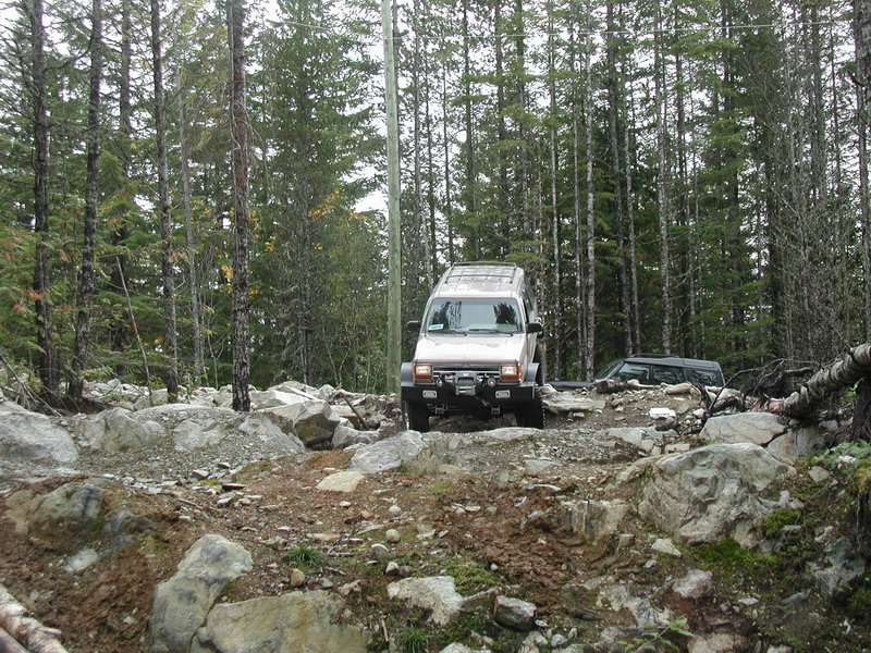 Tan SUV driving on a rocky trail in a forest.