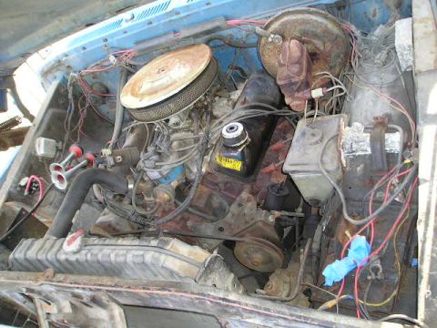 1978 Ford F-250 photo