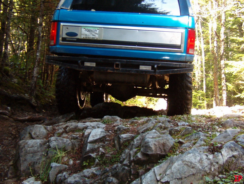 Rear view of a blue Ford Bronco on a rocky forest trail.