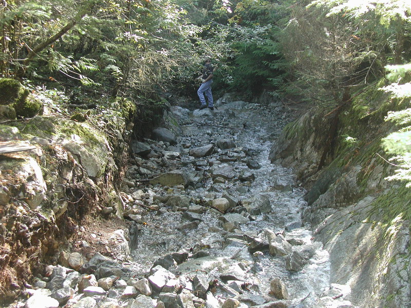 Person in a rocky streambed with flowing water and dense forest.