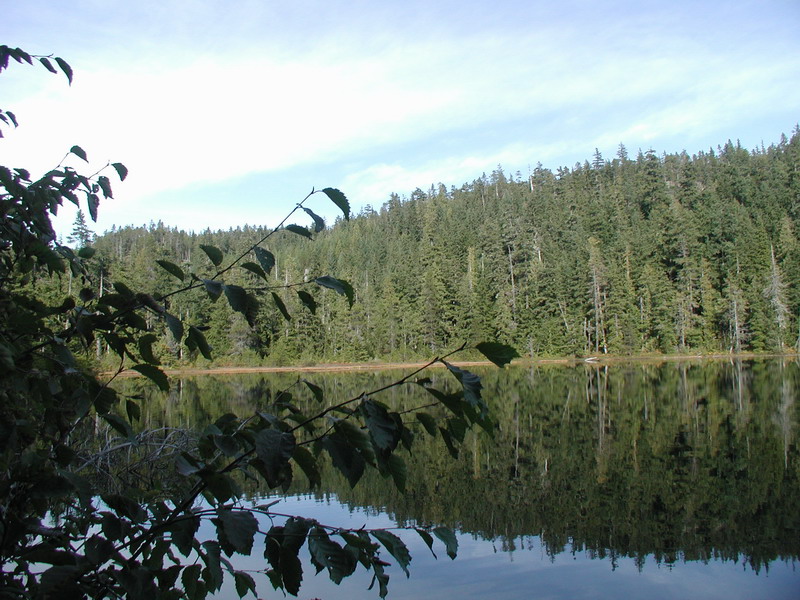Upper Hut Lake.