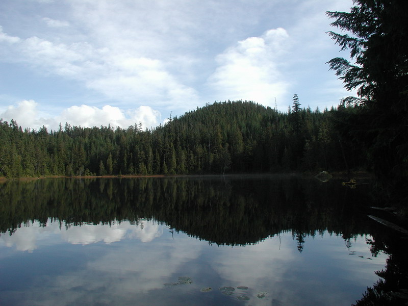 A calm lake reflecting a forest and cloudy sky.