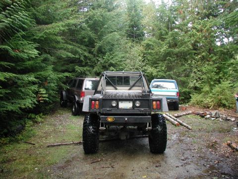 Rear view of a custom flatbed truck with large tires, parked in a forest with other vehicles.