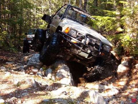 1985 Ford Bronco photo