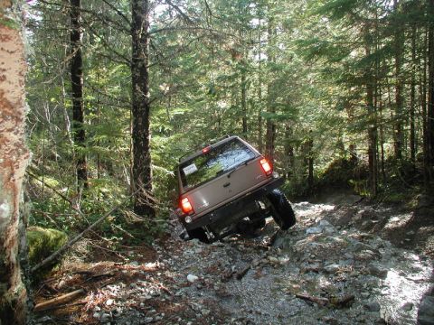 1985 Ford Bronco photo