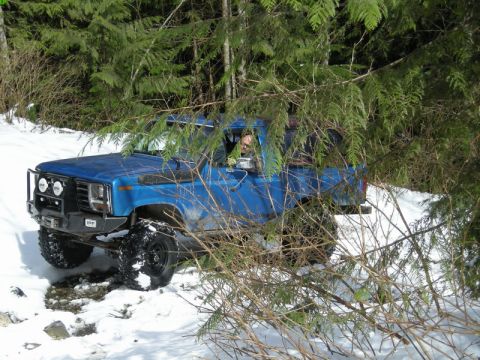 1985 Ford Bronco - A blue Ford Bronco is driving through a snowy forest, partially obscured by evergreen branches. The vehicle has a custom front bumper with…