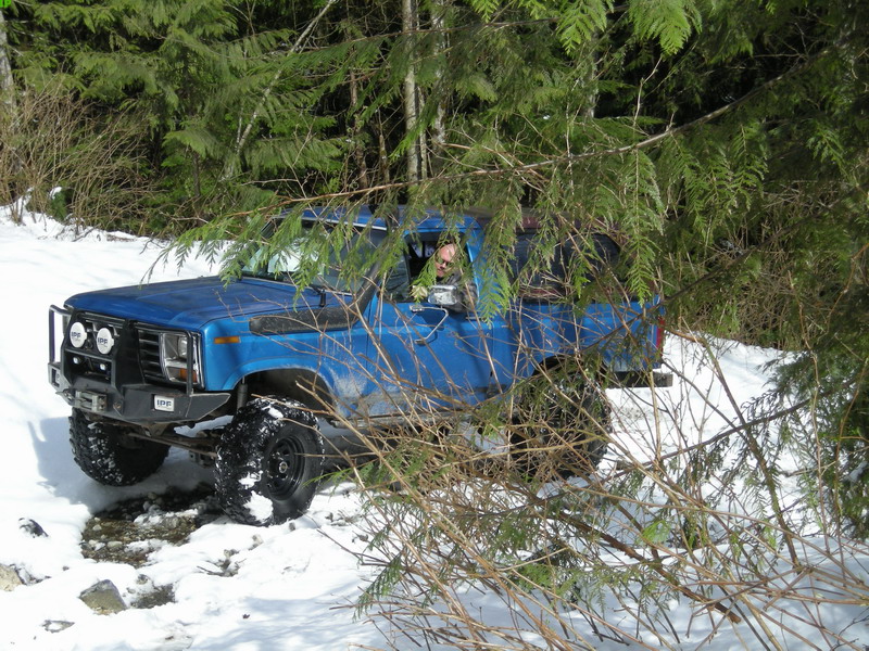 Blue 1985 Ford Bronco in a snowy forest with branches in the foreground.